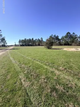 Pasture Land Parcel in Marianna