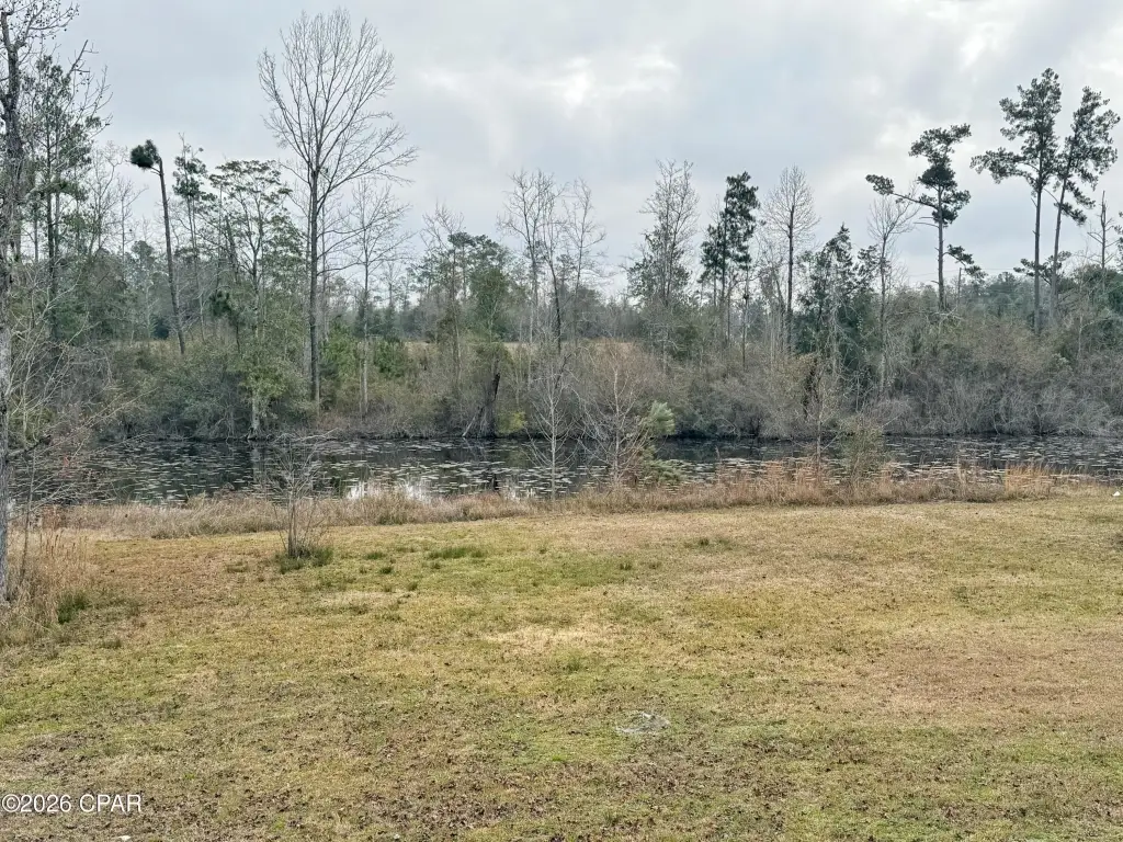Picture 16