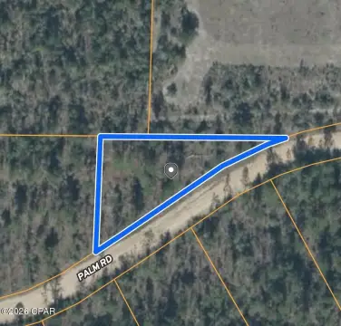 Wooded Lot in Compass Lake