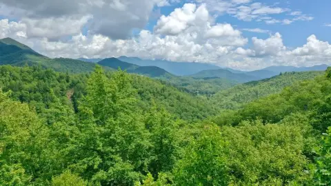 Land in Greens Creek Area