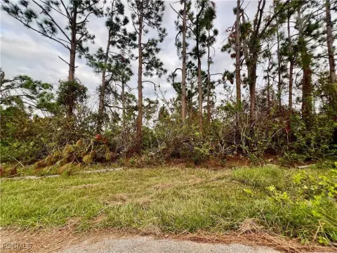 Port Charlotte Land For Sale