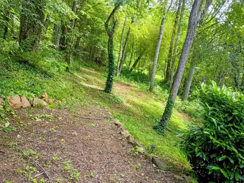 Versatile Mountain Lot with Septic