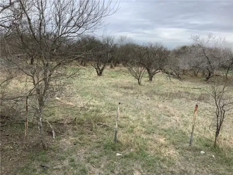 Vacant Land in Robstown, TX