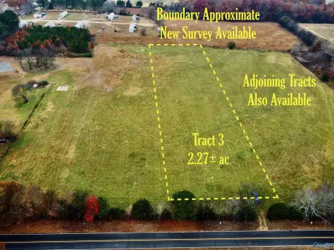 Land Tract in Anderson, AL
