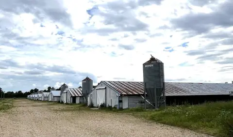 Poultry Farm with Broiler Houses