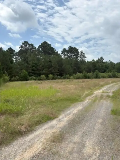 32 Acres Timberland Homesite Potential