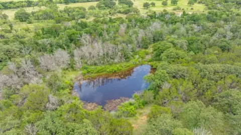 Undeveloped Land in Mingus, Texas