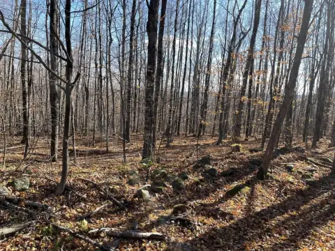 Wooded Lot in Harmony, ME