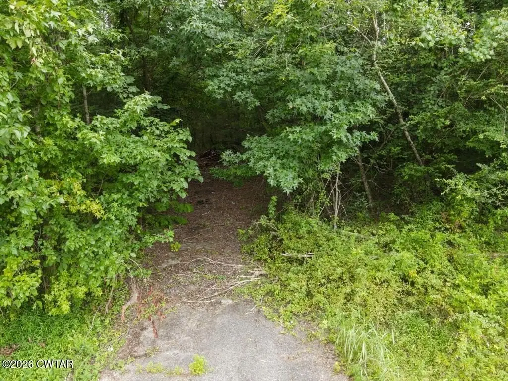 Picture 12