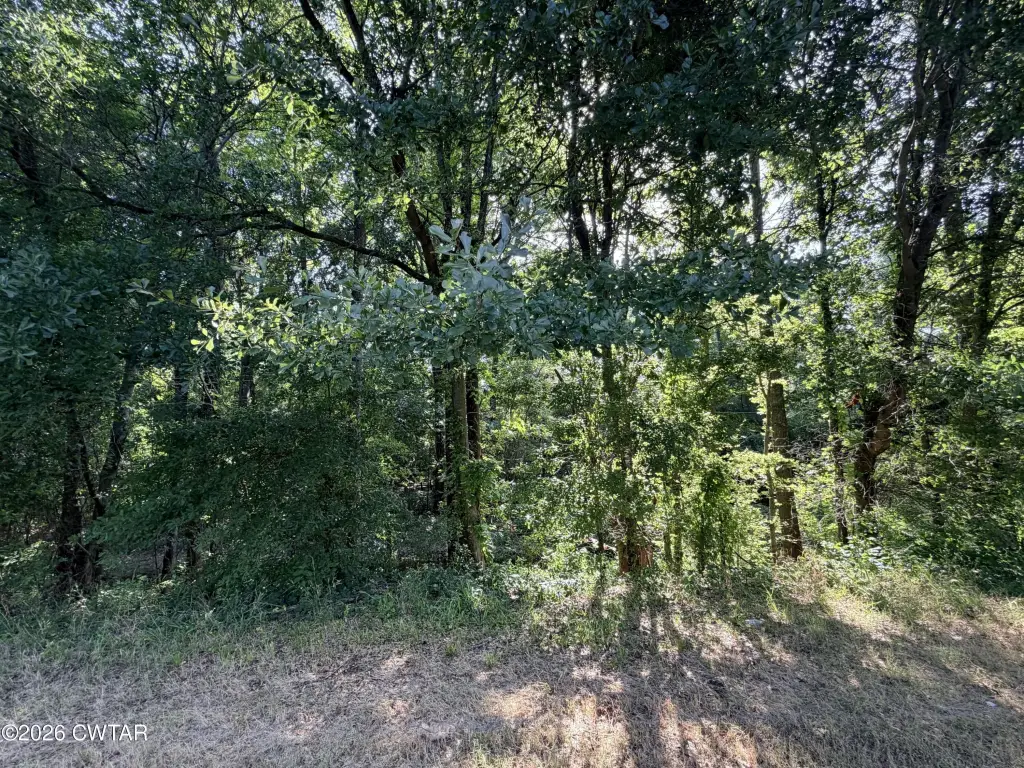 Picture 25