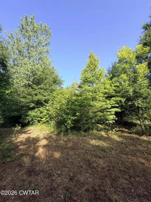 Picture 23