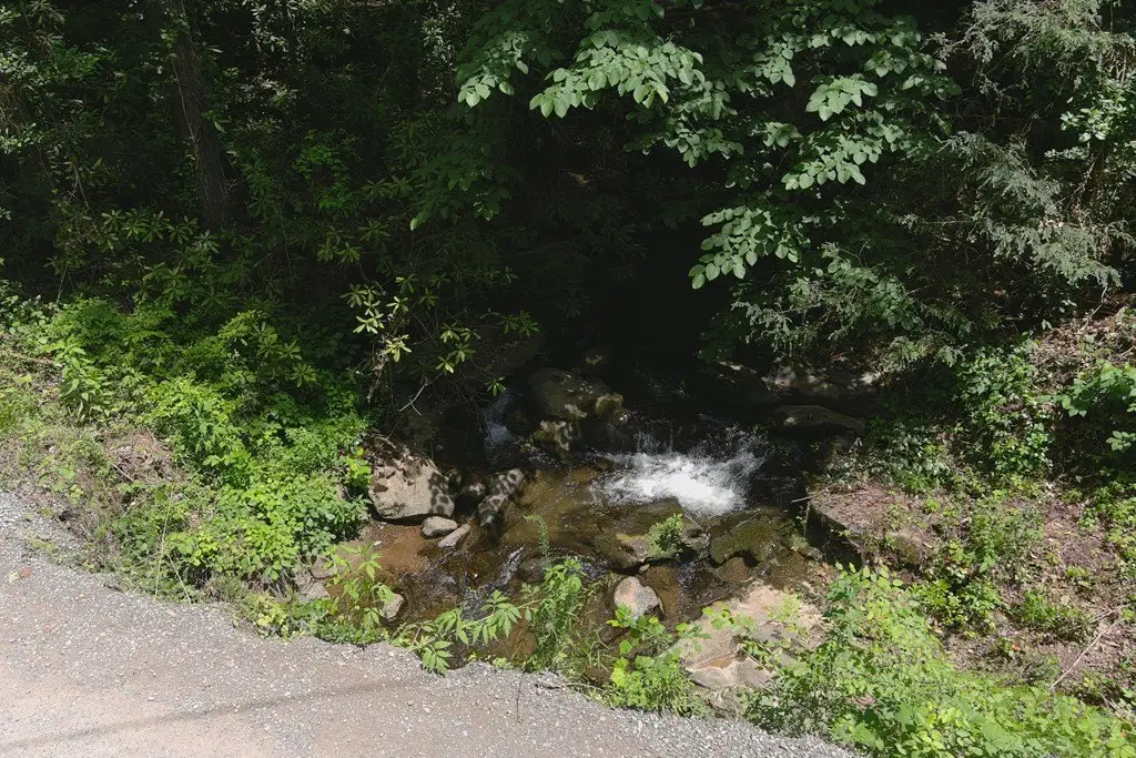 Picture 5
