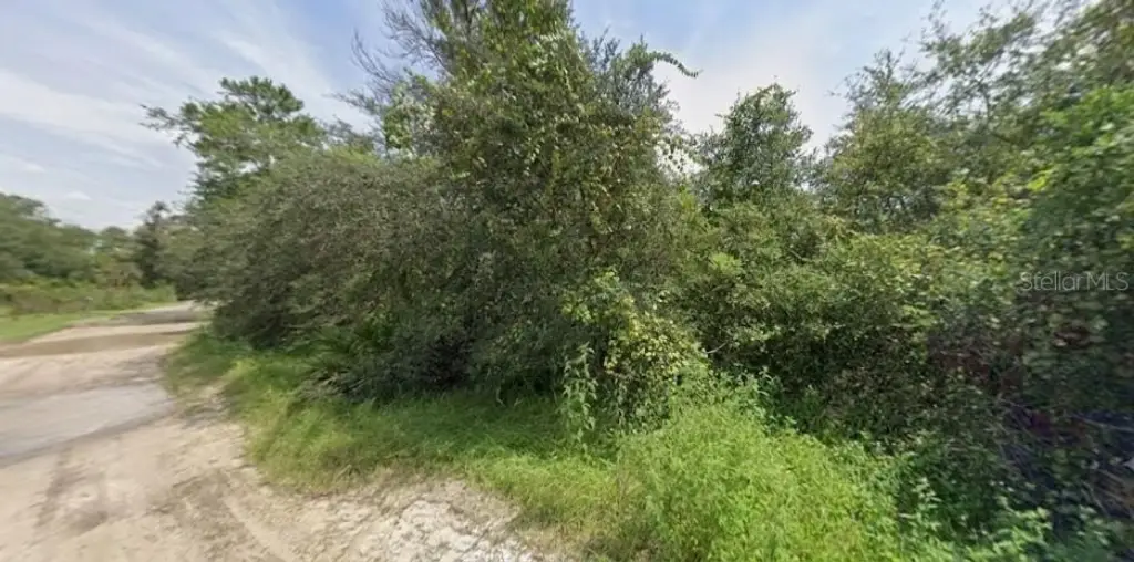 Picture 5