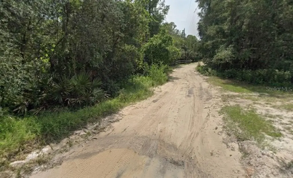 Picture 6