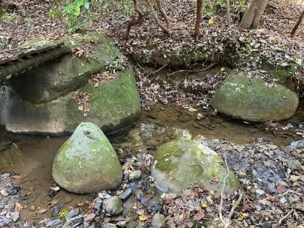 Picture 21