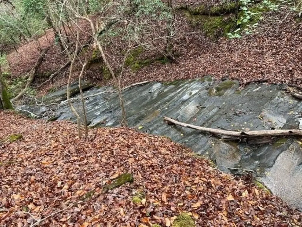 Picture 16