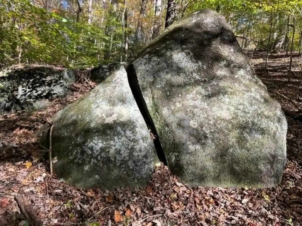 Picture 19