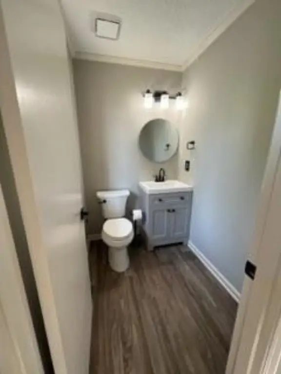Picture 24
