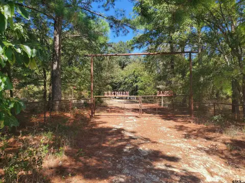 East Texas Hunting Land