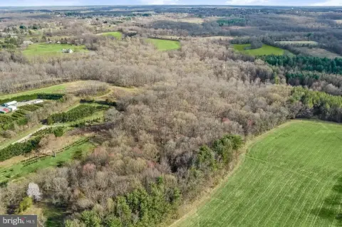 Agricultural Land Parcel in Damascus