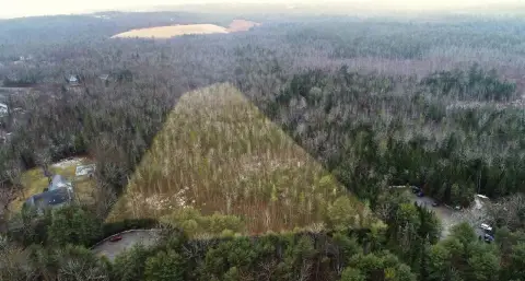 7.27 Acre Wooded Lot