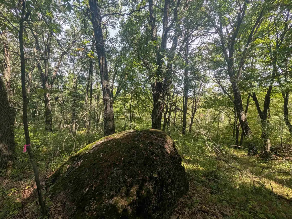 Picture 39