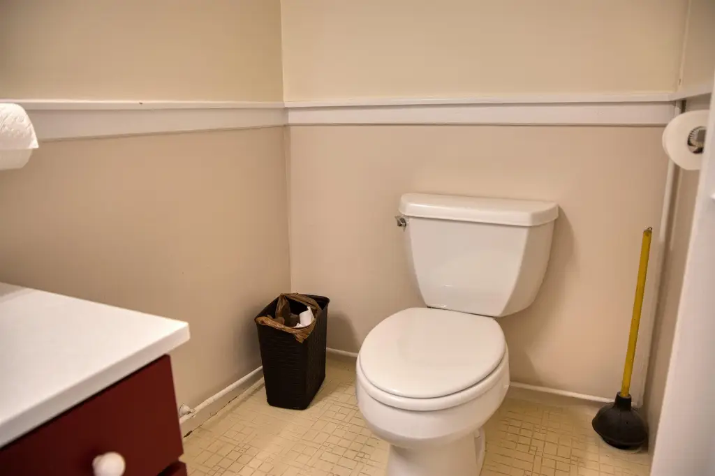 Picture 31
