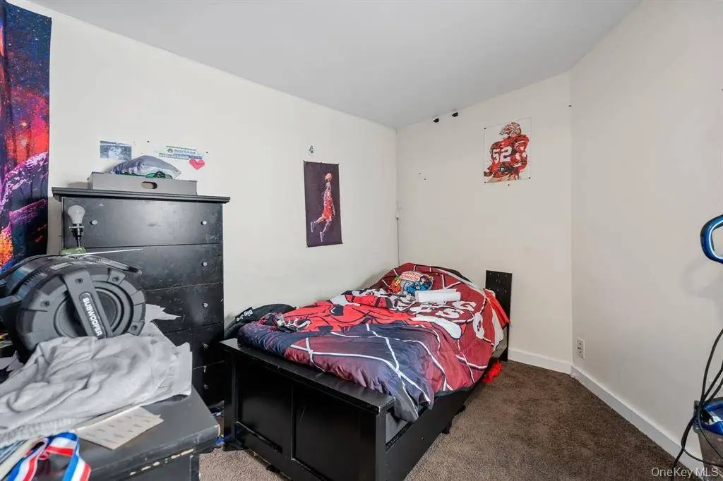 Picture 27