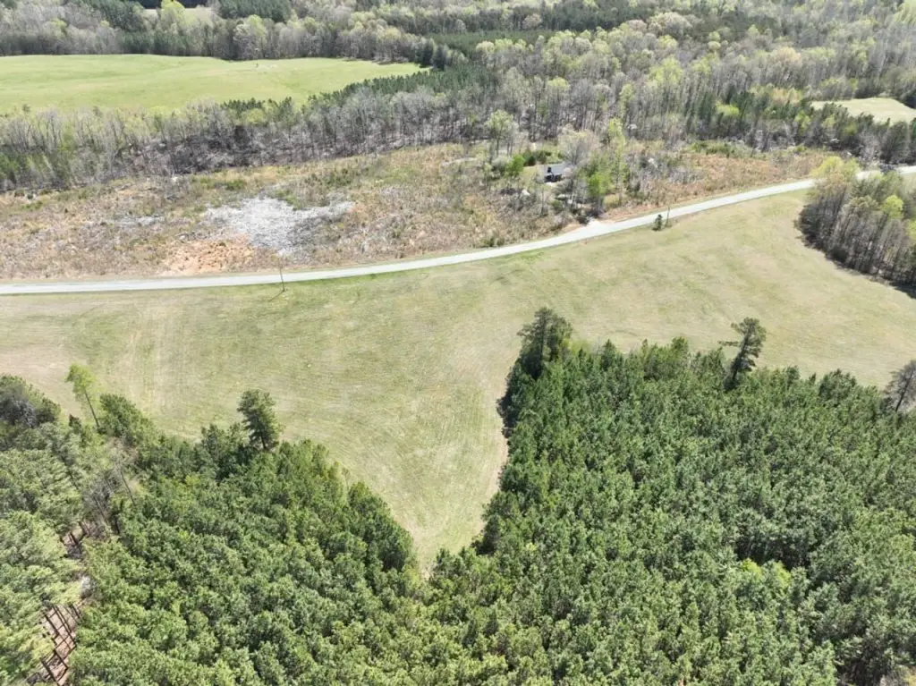 Picture 7