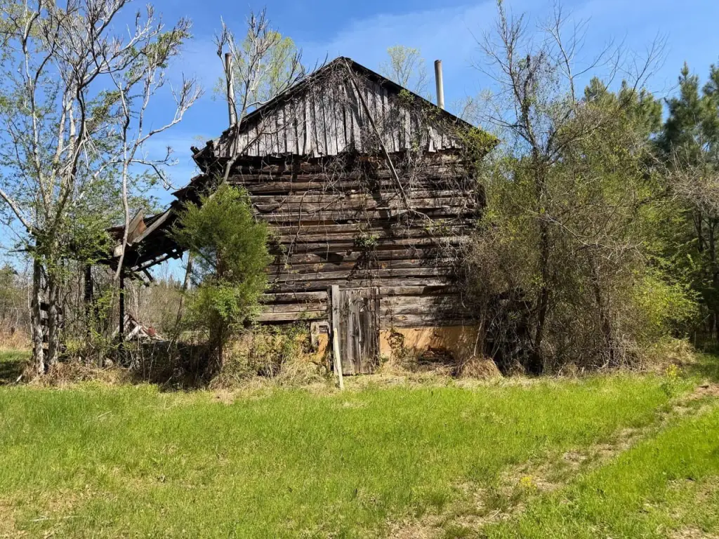 Picture 6