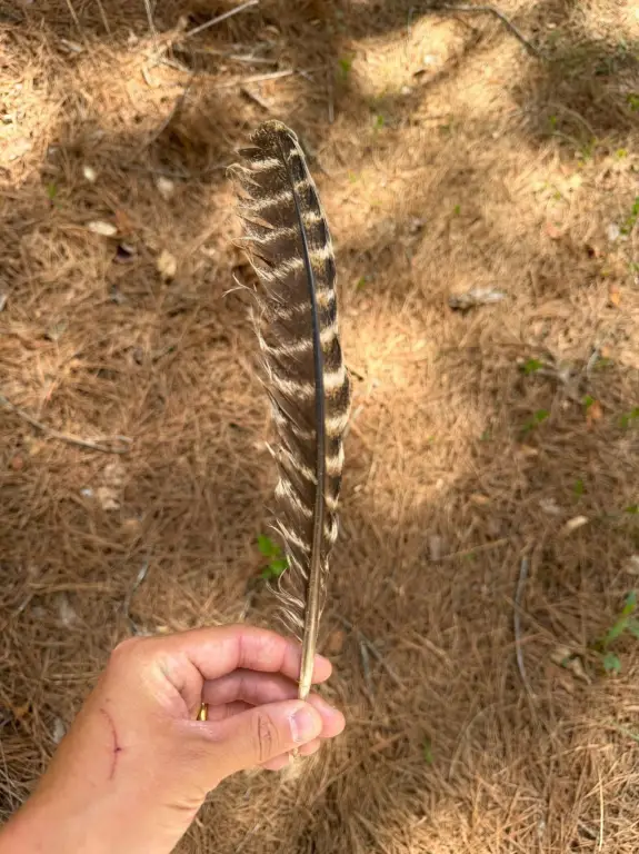 Picture 17