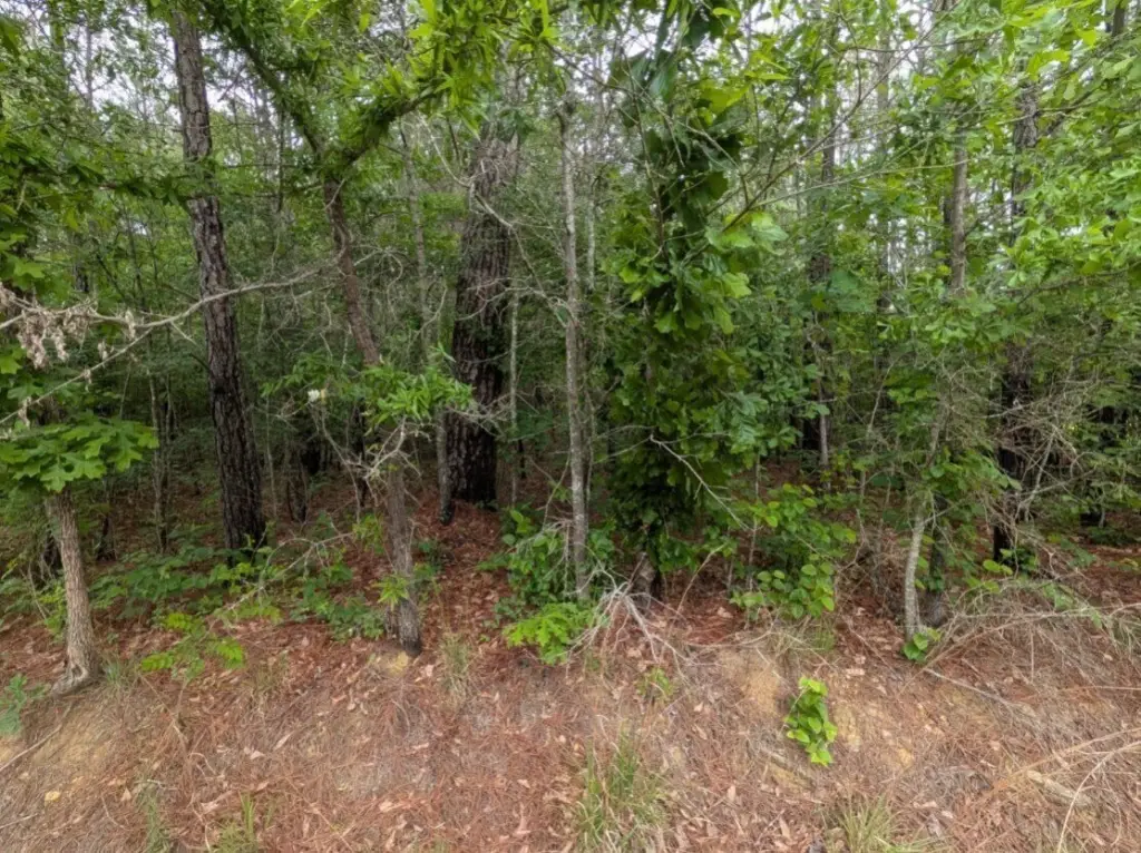 Picture 22