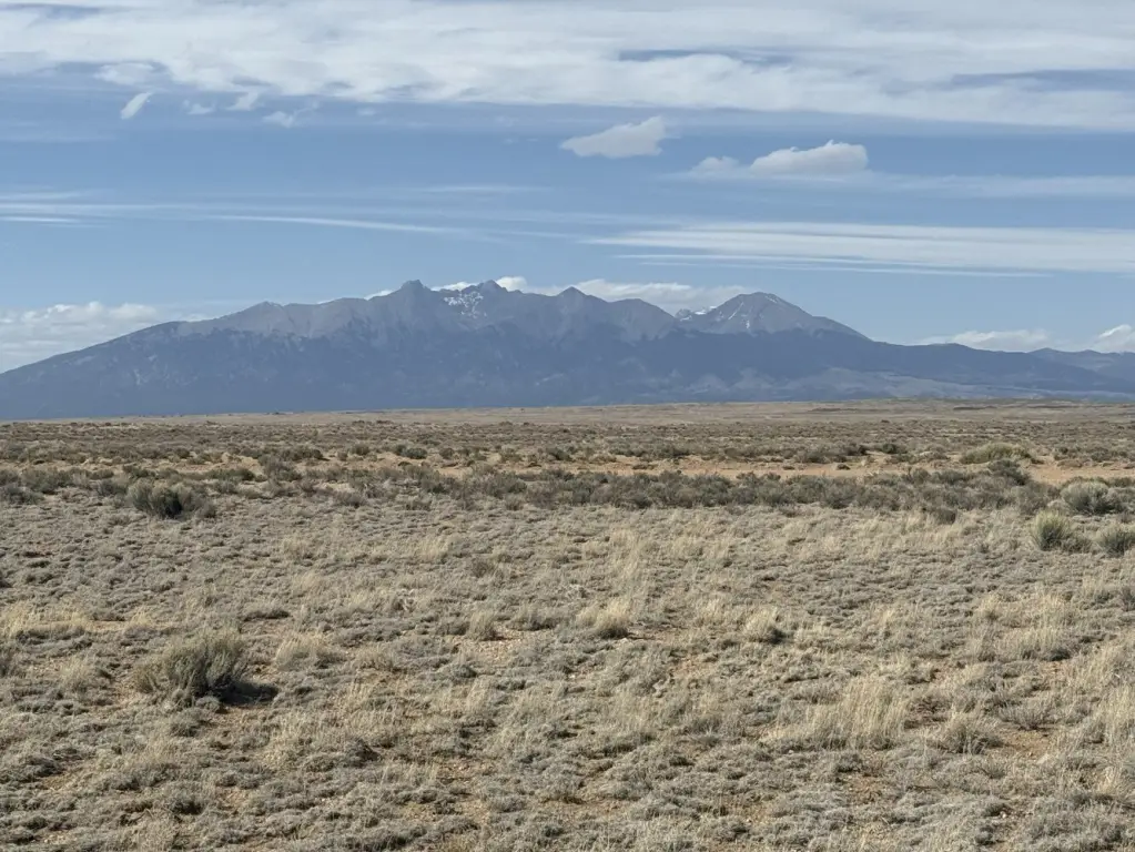 Picture 5