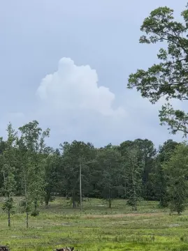 Harlem Buildable Land Opportunity