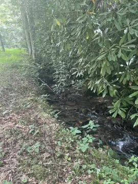 Cleared Land with Creek Frontage