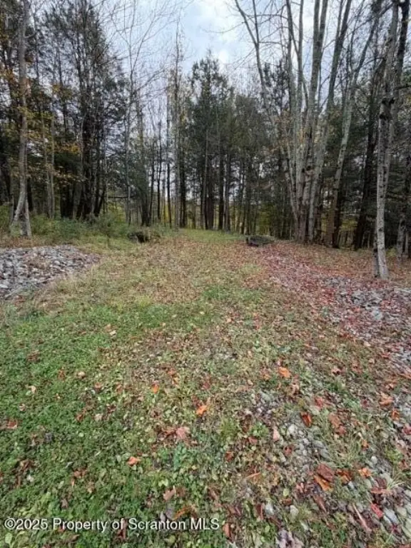 Picture 3