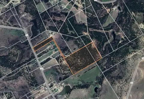 Undeveloped Land in Carlton, Texas