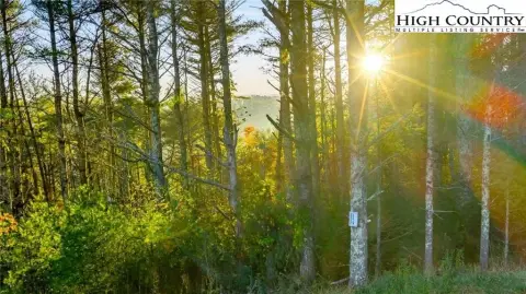 Wooded Lot with Potential Views