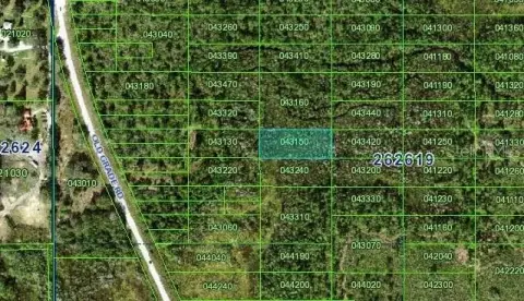 Undeveloped Acre in Polk City