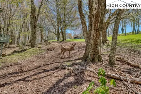 Land on Beech Mountain Golf Course