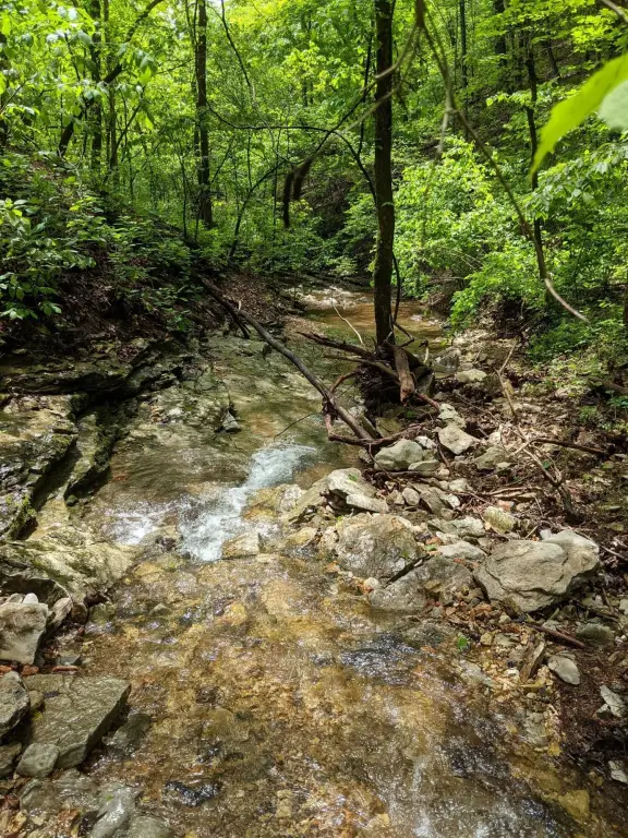 Picture 9
