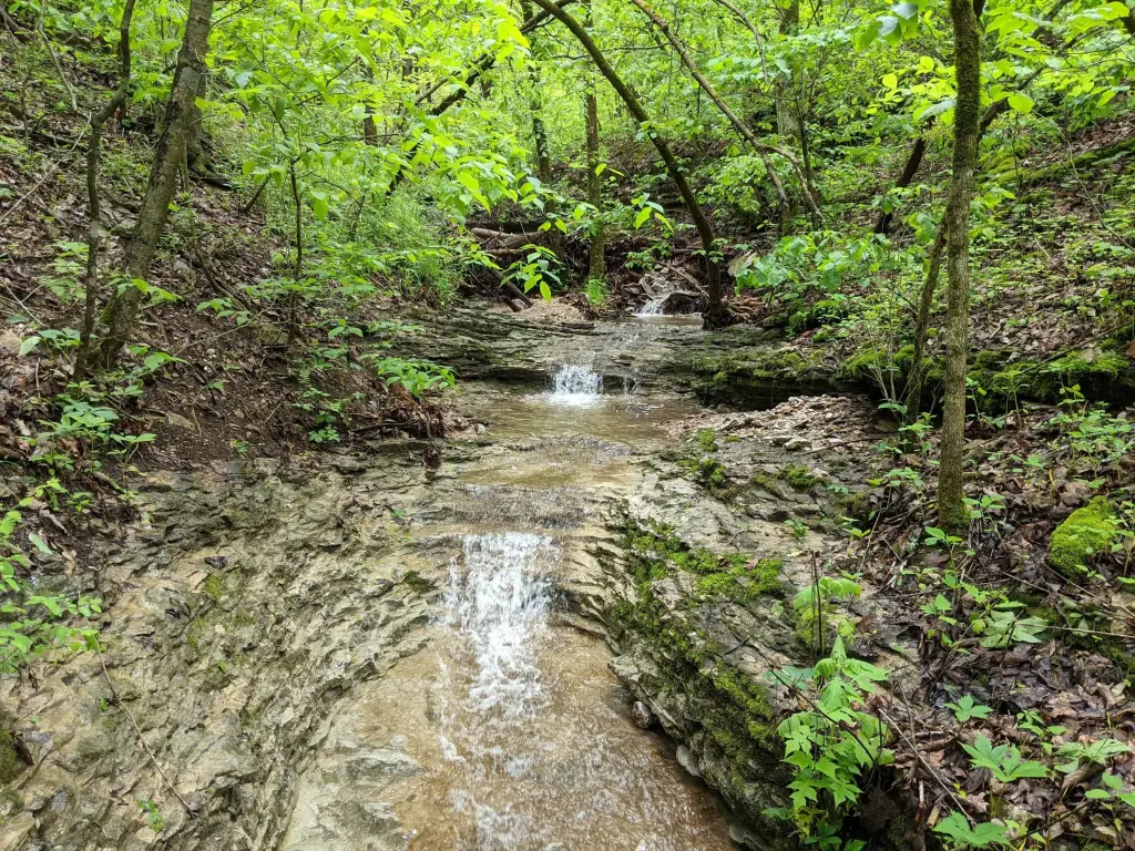Picture 20