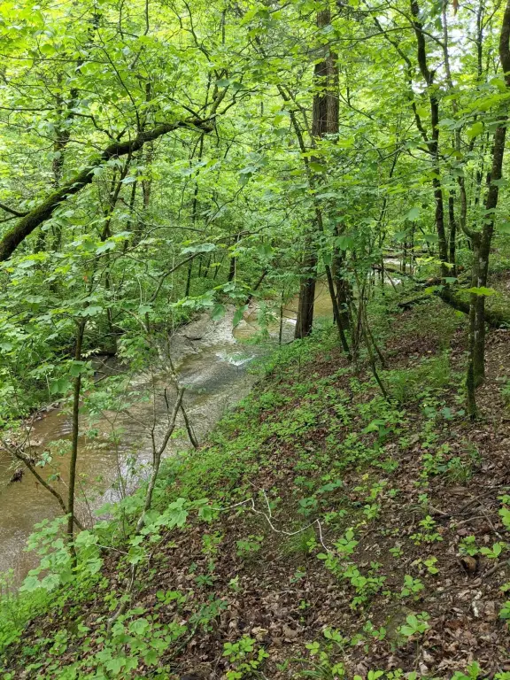 Picture 27