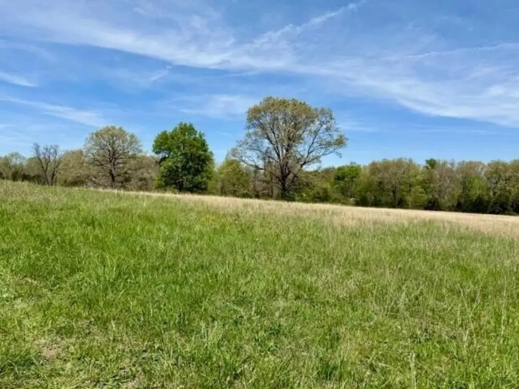 Picture 17