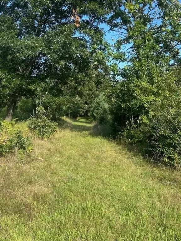 Picture 12