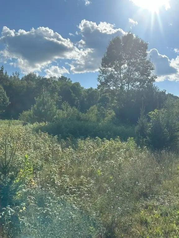 Picture 23
