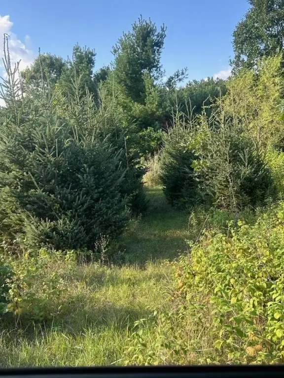 Picture 22