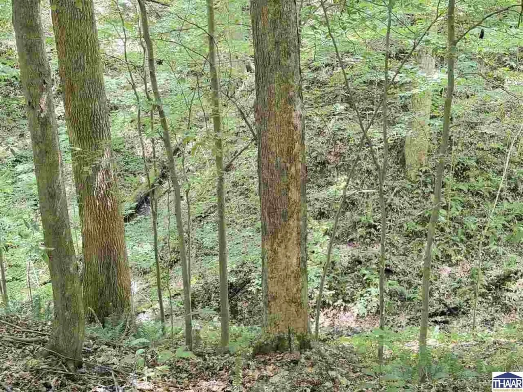 Picture 68
