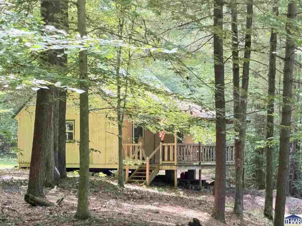 Picture 16