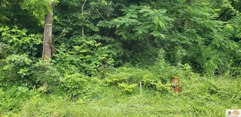 Bonnieville, KY Acreage Homesite Opportunity